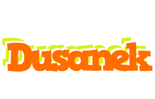 Dusanek healthy logo