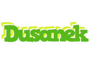 Dusanek picnic logo