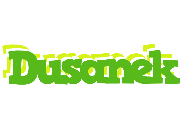 Dusanek picnic logo