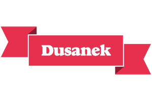 Dusanek sale logo