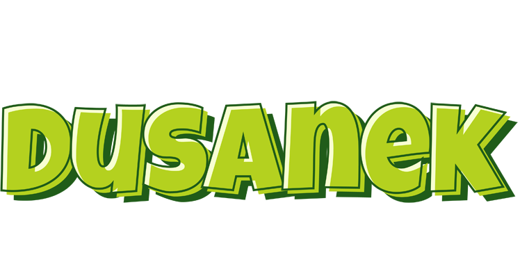 Dusanek summer logo