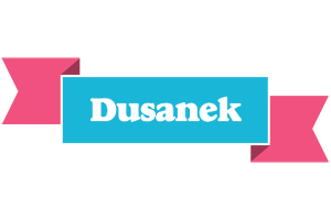 Dusanek today logo