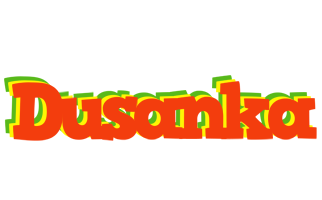 Dusanka bbq logo