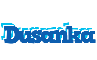 Dusanka business logo