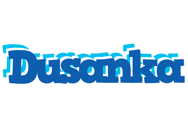 Dusanka business logo
