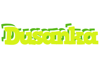 Dusanka citrus logo