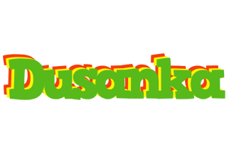 Dusanka crocodile logo