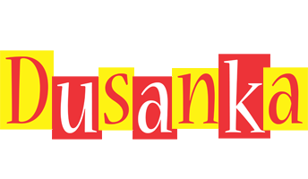 Dusanka errors logo