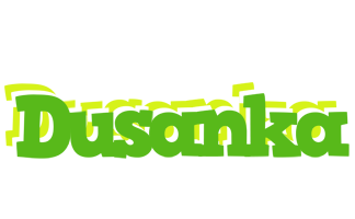 Dusanka picnic logo