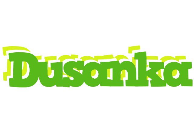 Dusanka picnic logo