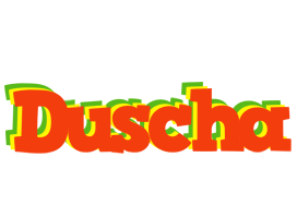 Duscha bbq logo