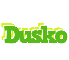 Dusko picnic logo