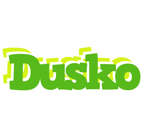Dusko picnic logo