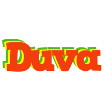Duva bbq logo
