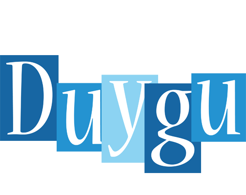 Duygu winter logo
