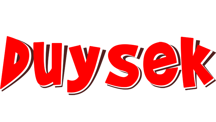 Duysek basket logo