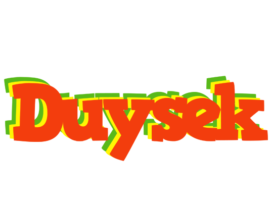 Duysek bbq logo