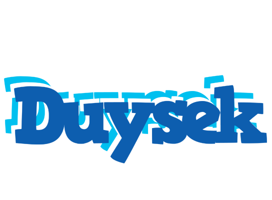 Duysek business logo