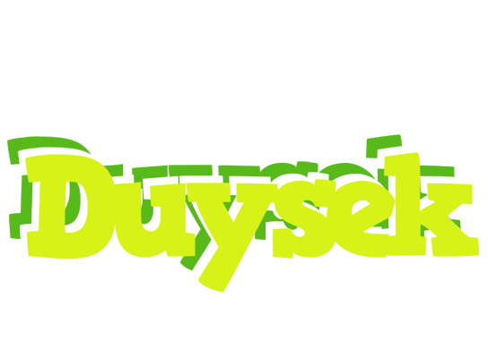 Duysek citrus logo