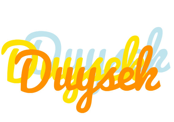 Duysek energy logo