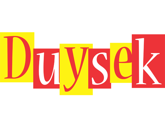 Duysek errors logo