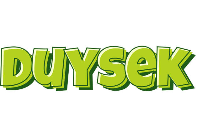 Duysek summer logo