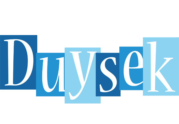 Duysek winter logo