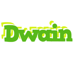 Dwain picnic logo