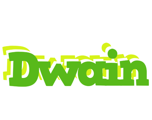 Dwain picnic logo