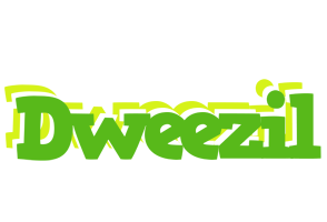 Dweezil picnic logo