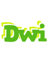 Dwi picnic logo