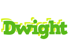 Dwight picnic logo