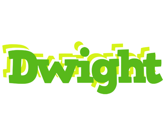 Dwight picnic logo