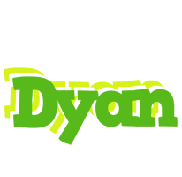 Dyan picnic logo