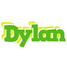 Dylan picnic logo