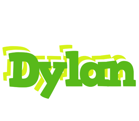 Dylan picnic logo