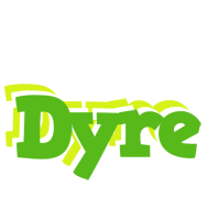 Dyre picnic logo