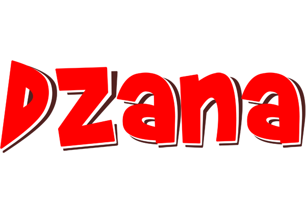 Dzana basket logo