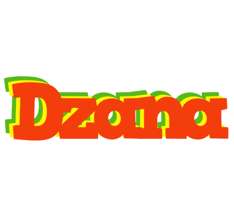 Dzana bbq logo