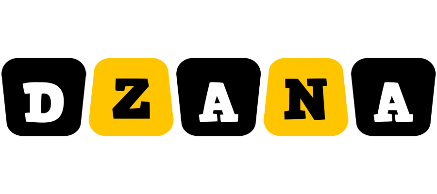 Dzana boots logo