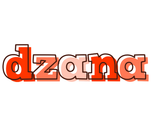 Dzana paint logo