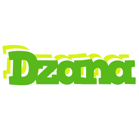 Dzana picnic logo