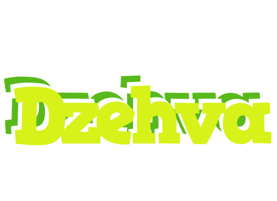 Dzehva citrus logo