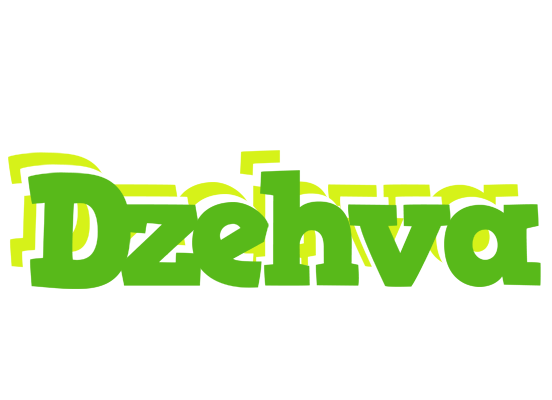 Dzehva picnic logo