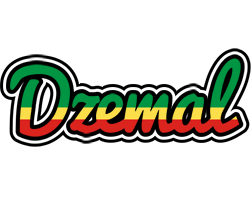 Dzemal african logo