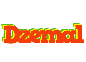 Dzemal bbq logo