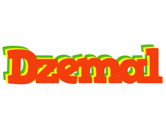 Dzemal bbq logo