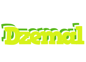 Dzemal citrus logo