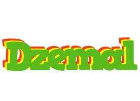 Dzemal crocodile logo