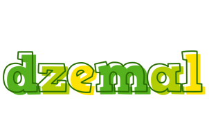 Dzemal juice logo